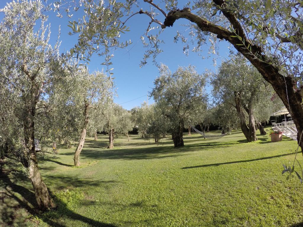 Casa Vacanza مالتشيزينيه المظهر الخارجي الصورة